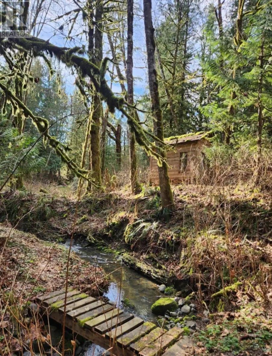 24240 113 Avenue, Maple Ridge, British Columbia  V2W 1H5 - Photo 38 - R3030899