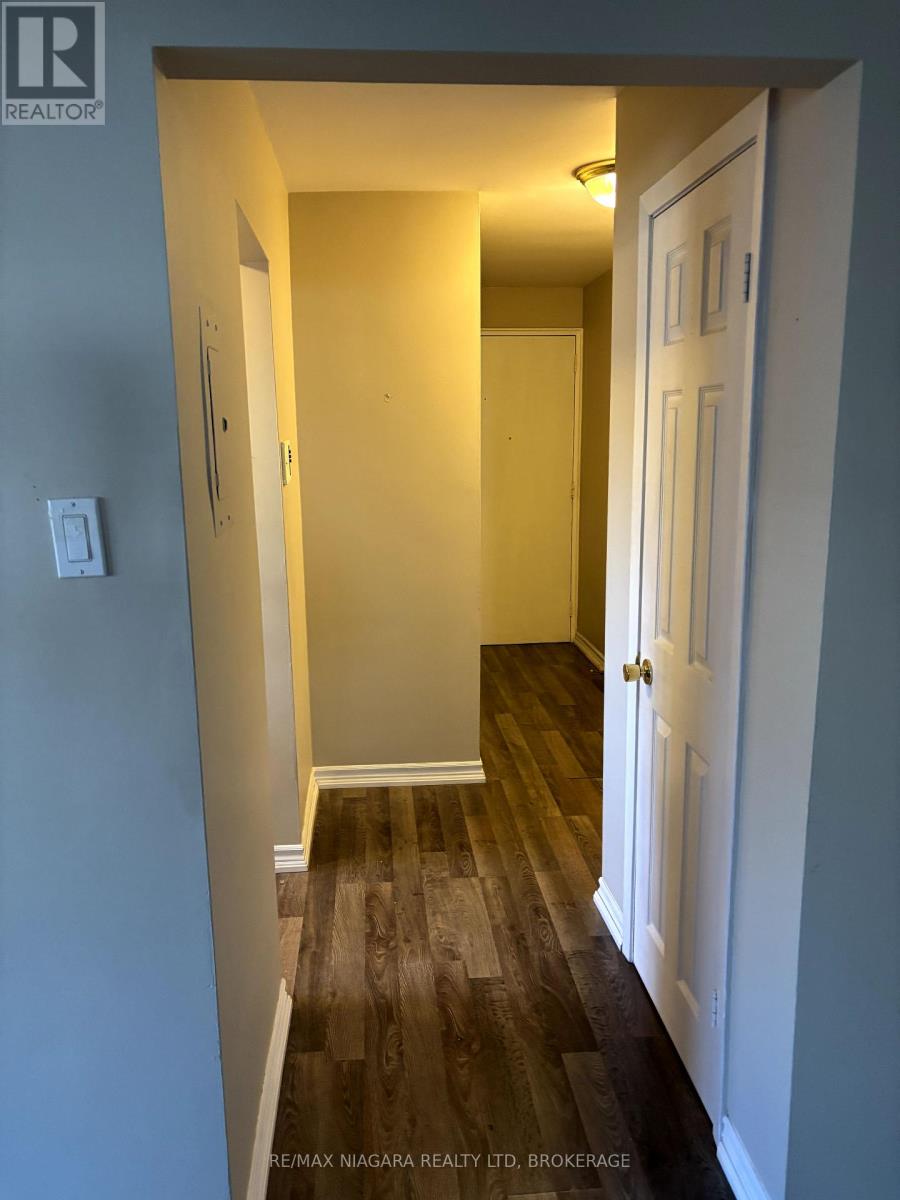 17 Simcoe Street, St. Catharines, Ontario  L2N 5C6 - Photo 6 - X12311155