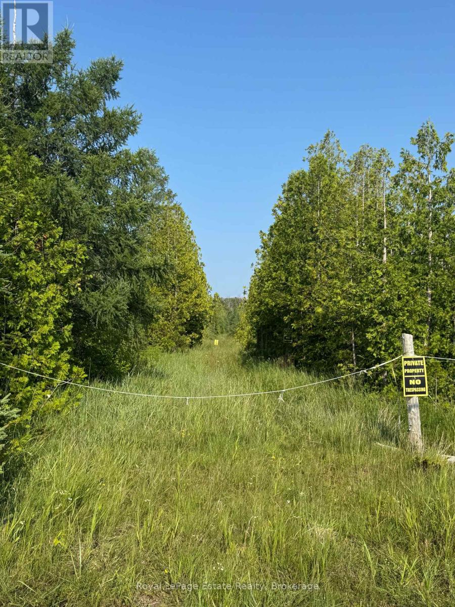 267 Bay Street, South Bruce Peninsula, Ontario  N0H 2T0 - Photo 7 - X12311148