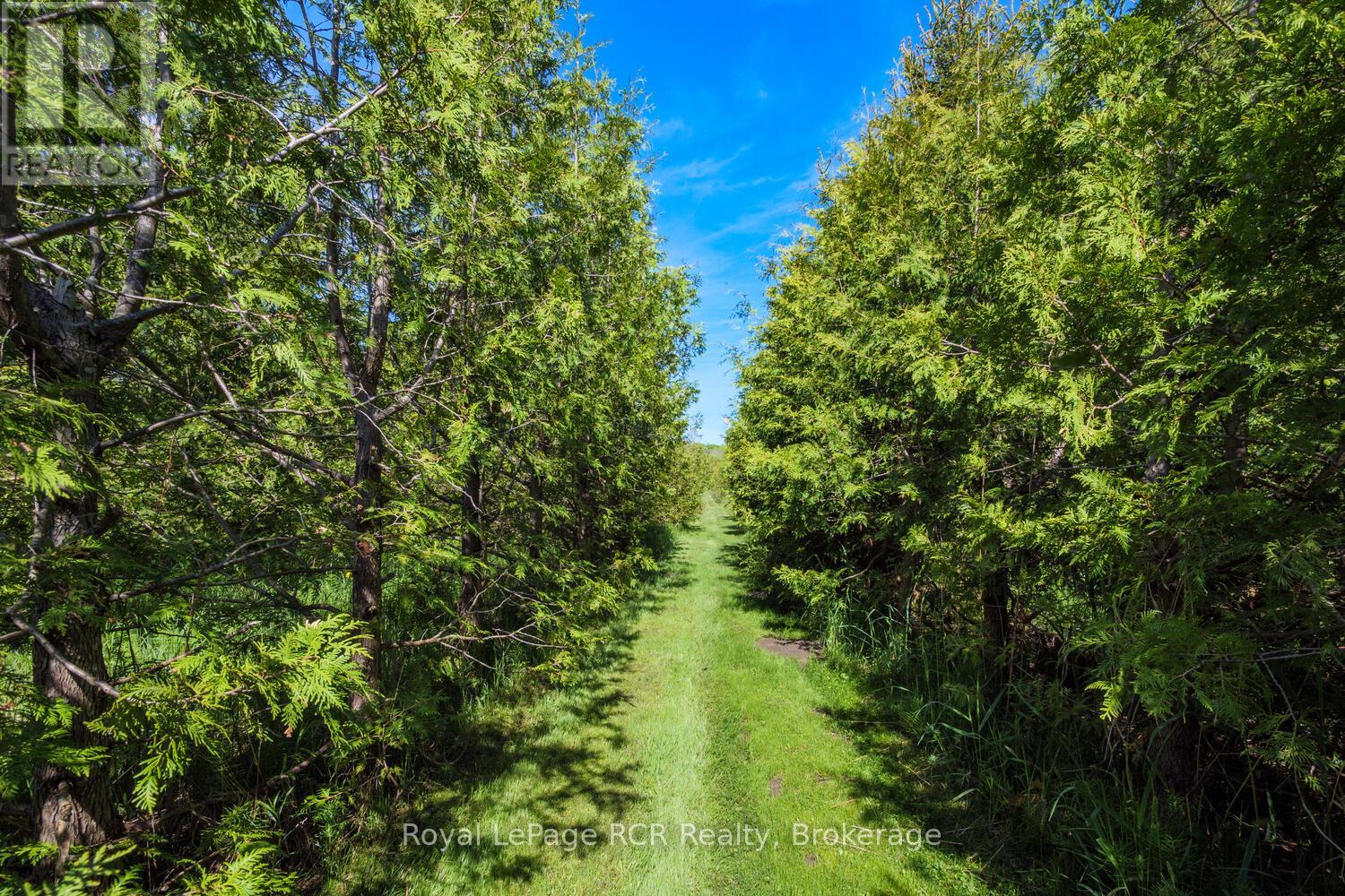 280 Somers Street, Georgian Bluffs, Ontario  N4K 6V5 - Photo 43 - X12187590