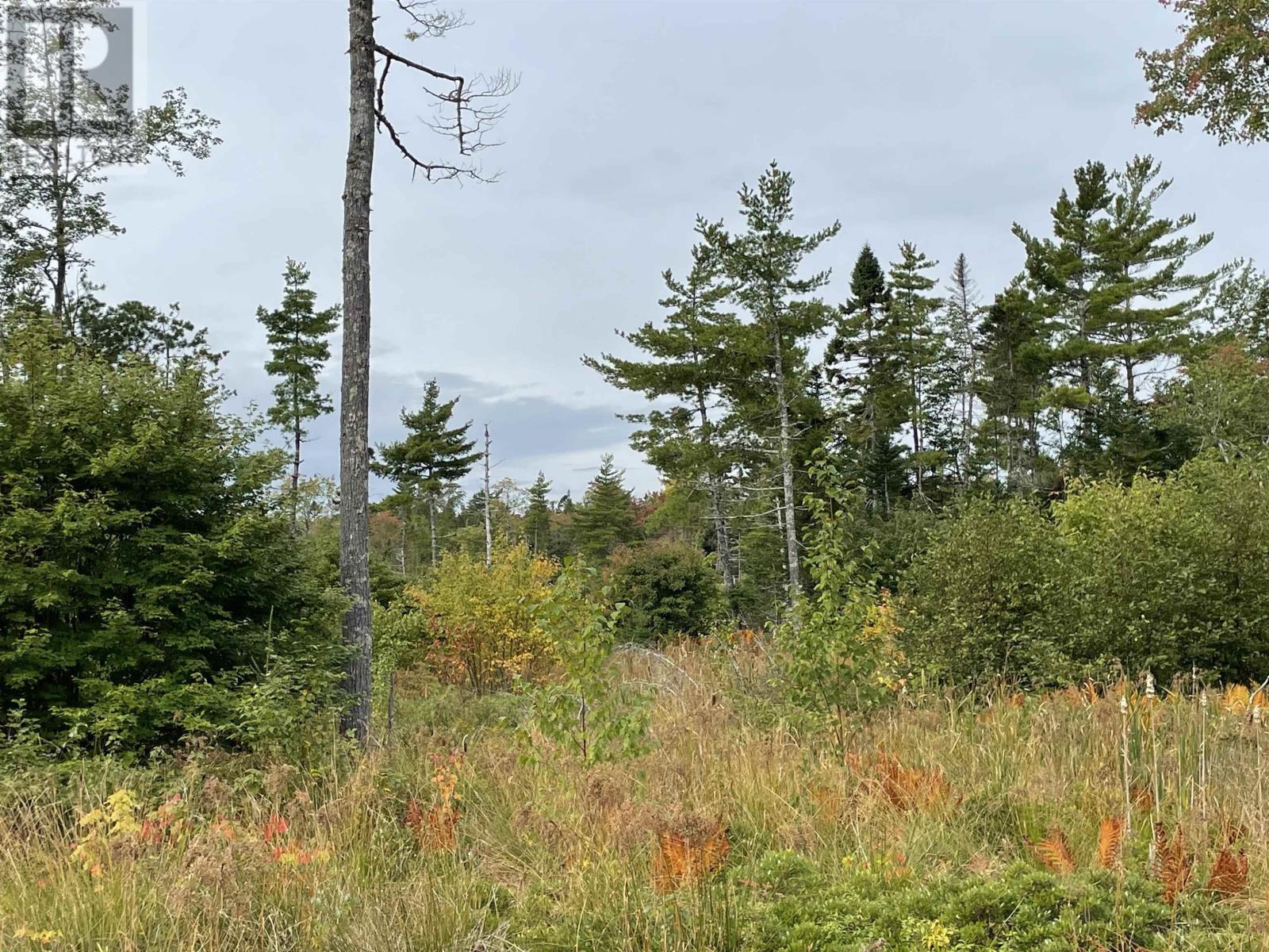 Lot 24-1 Lower Stave Lake, Upper Ohio, Nova Scotia  B0T 1W0 - Photo 13 - 202515480