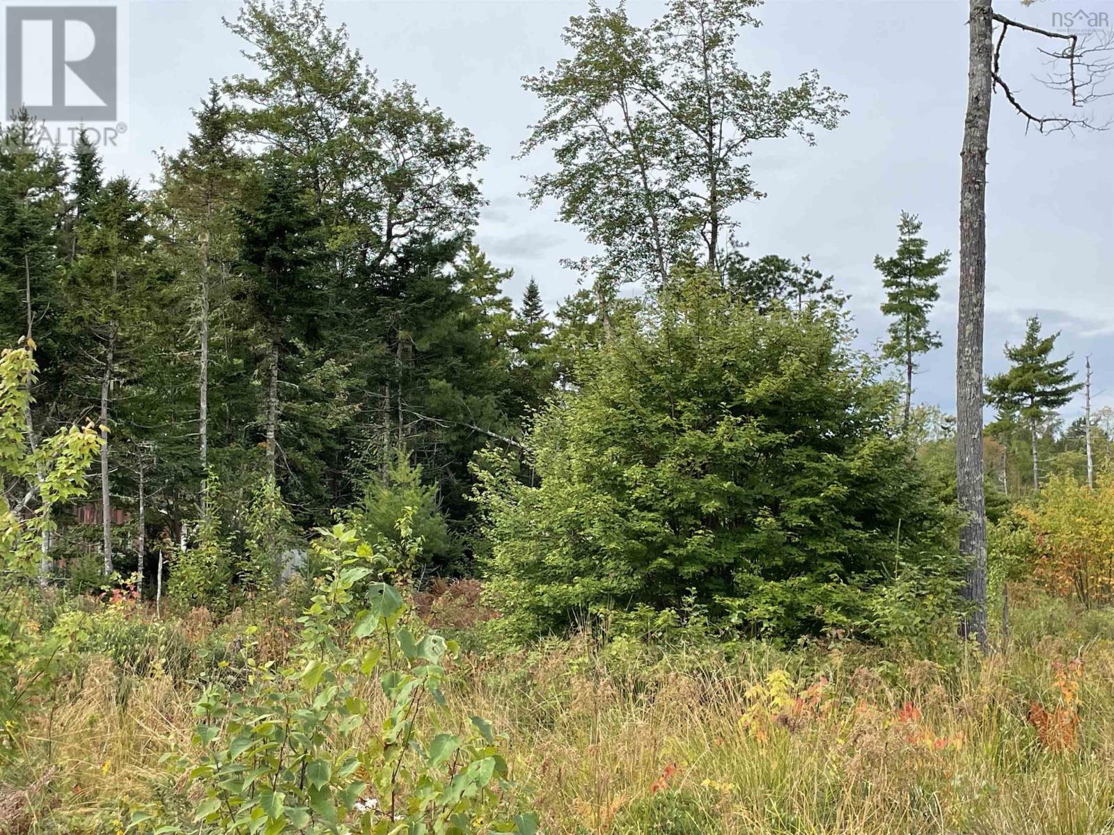 Lot 24-1 Lower Stave Lake, Upper Ohio, Nova Scotia  B0T 1W0 - Photo 14 - 202515480