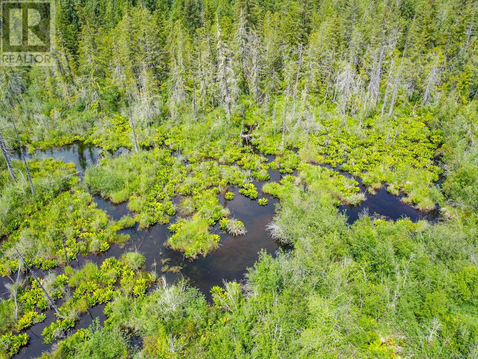 7801-7807 Beaver Creek Rd, Port Alberni, British Columbia  V9Y 8N3 - Photo 56 - 1003605