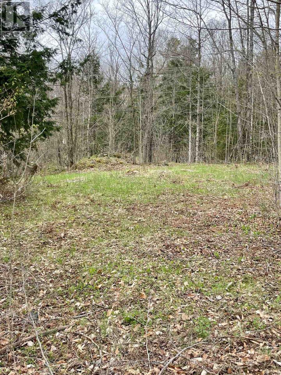 2223 Henderson Road, Frontenac, Ontario  K0H 1K0 - Photo 16 - X12311460