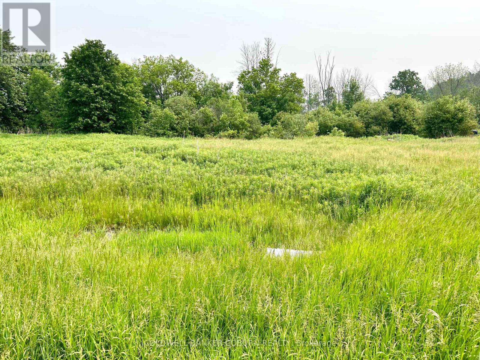 11880 County Road 18 Road, South Dundas, Ontario  K0C 2H0 - Photo 4 - X11942875