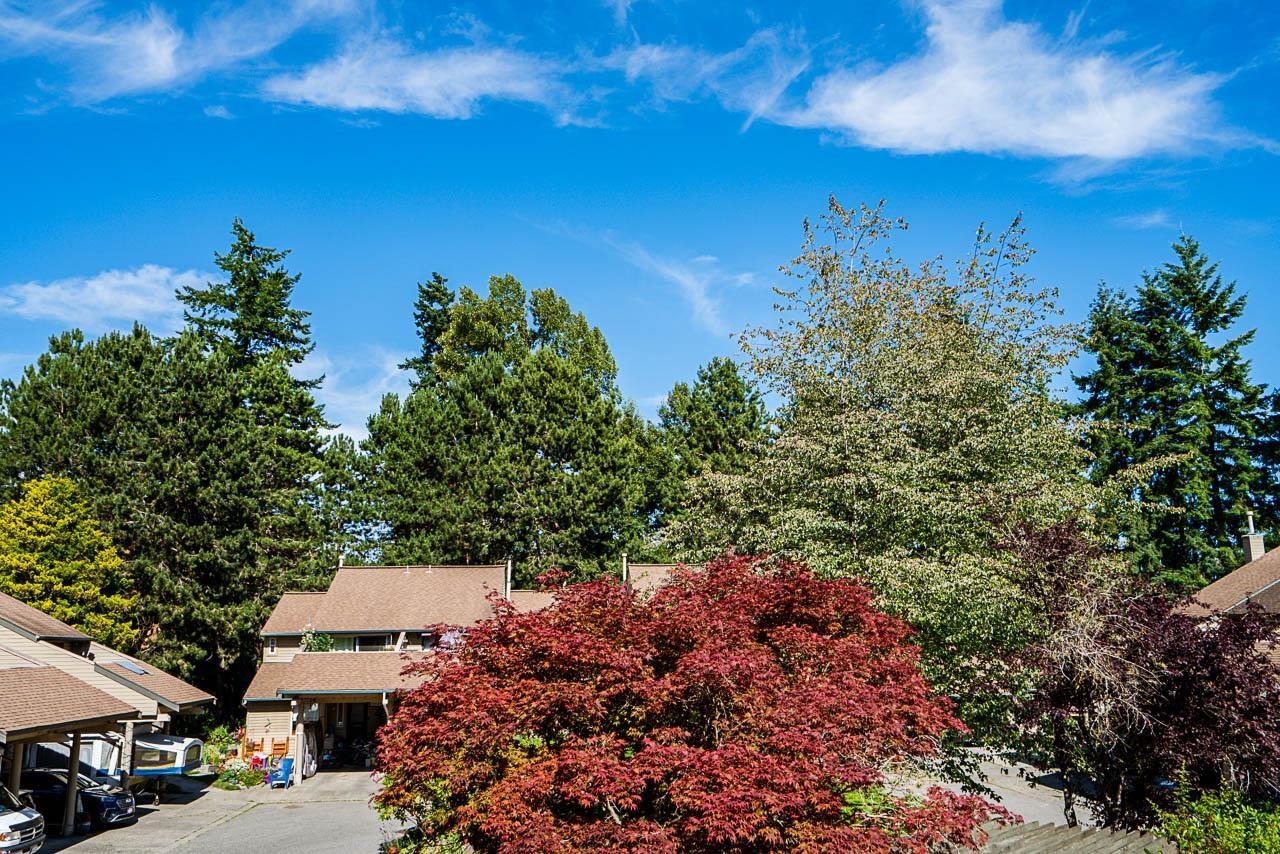 15760 Mcbeth Road, Surrey, British Columbia V4A 5X3 - Photo 19 - R3029327