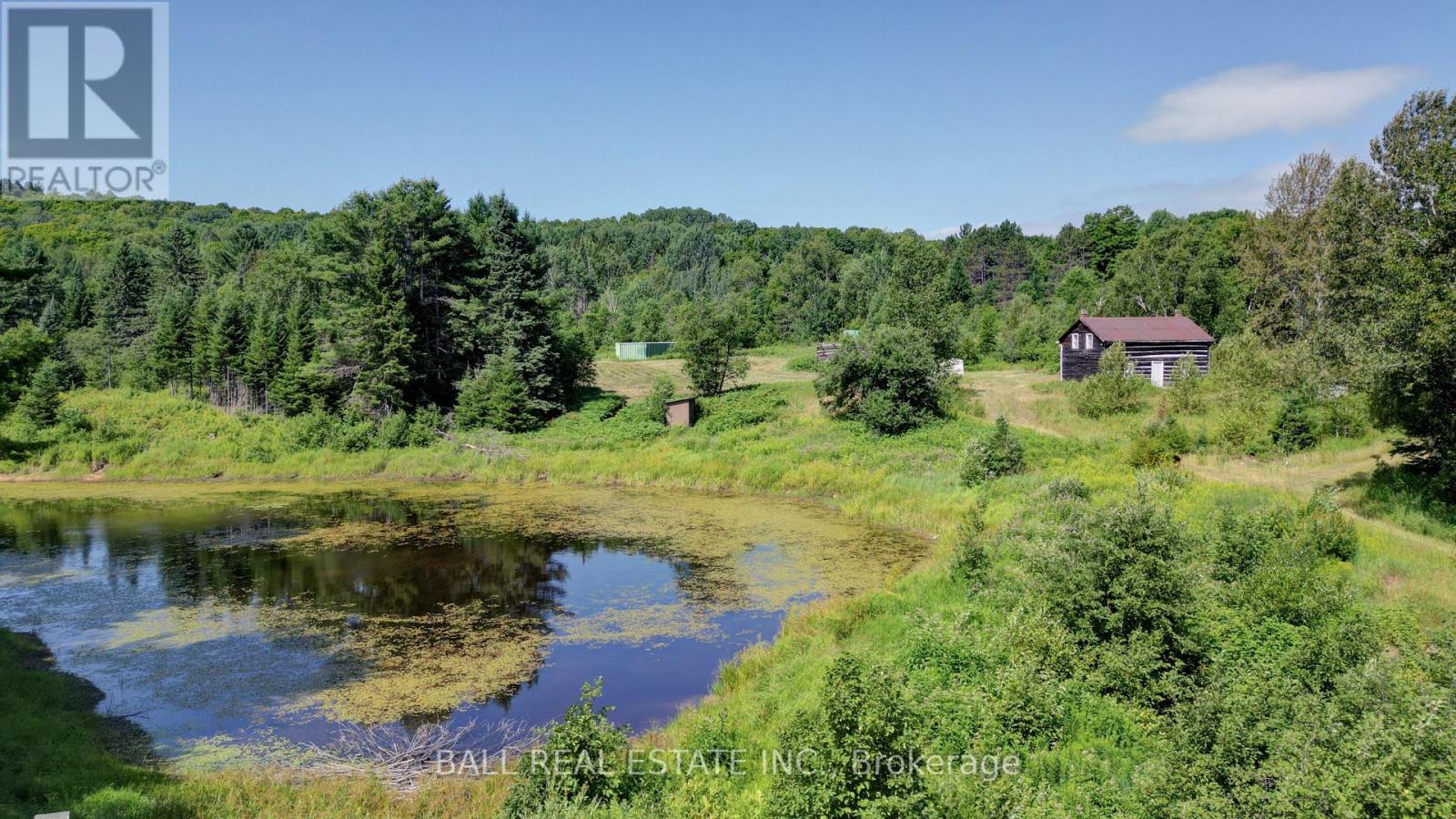 35956 Highway 62, Hastings Highlands (Bangor Ward), Ontario  K0L 2R0 - Photo 17 - X12311588