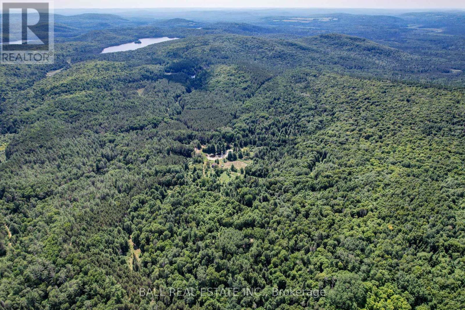 35956 Highway 62, Hastings Highlands (Bangor Ward), Ontario  K0L 2R0 - Photo 18 - X12311588