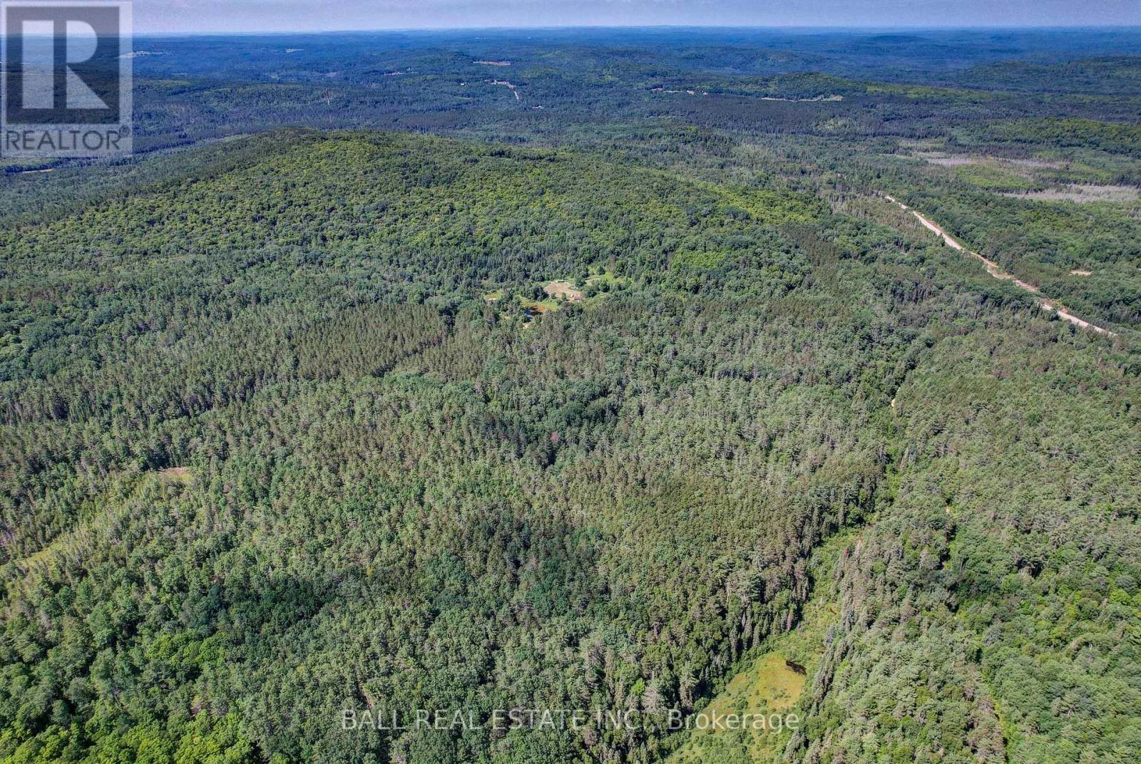 35956 Highway 62, Hastings Highlands (Bangor Ward), Ontario  K0L 2R0 - Photo 19 - X12311588