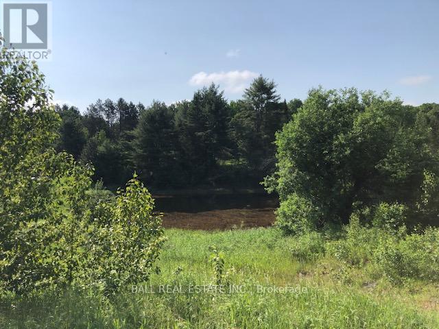 35956 Highway 62, Hastings Highlands, Ontario  K0L 2R0 - Photo 2 - X12311588