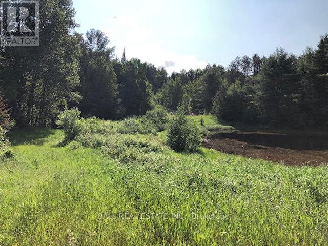 35956 Highway 62, Hastings Highlands (Bangor Ward), Ontario  K0L 2R0 - Photo 3 - X12311588