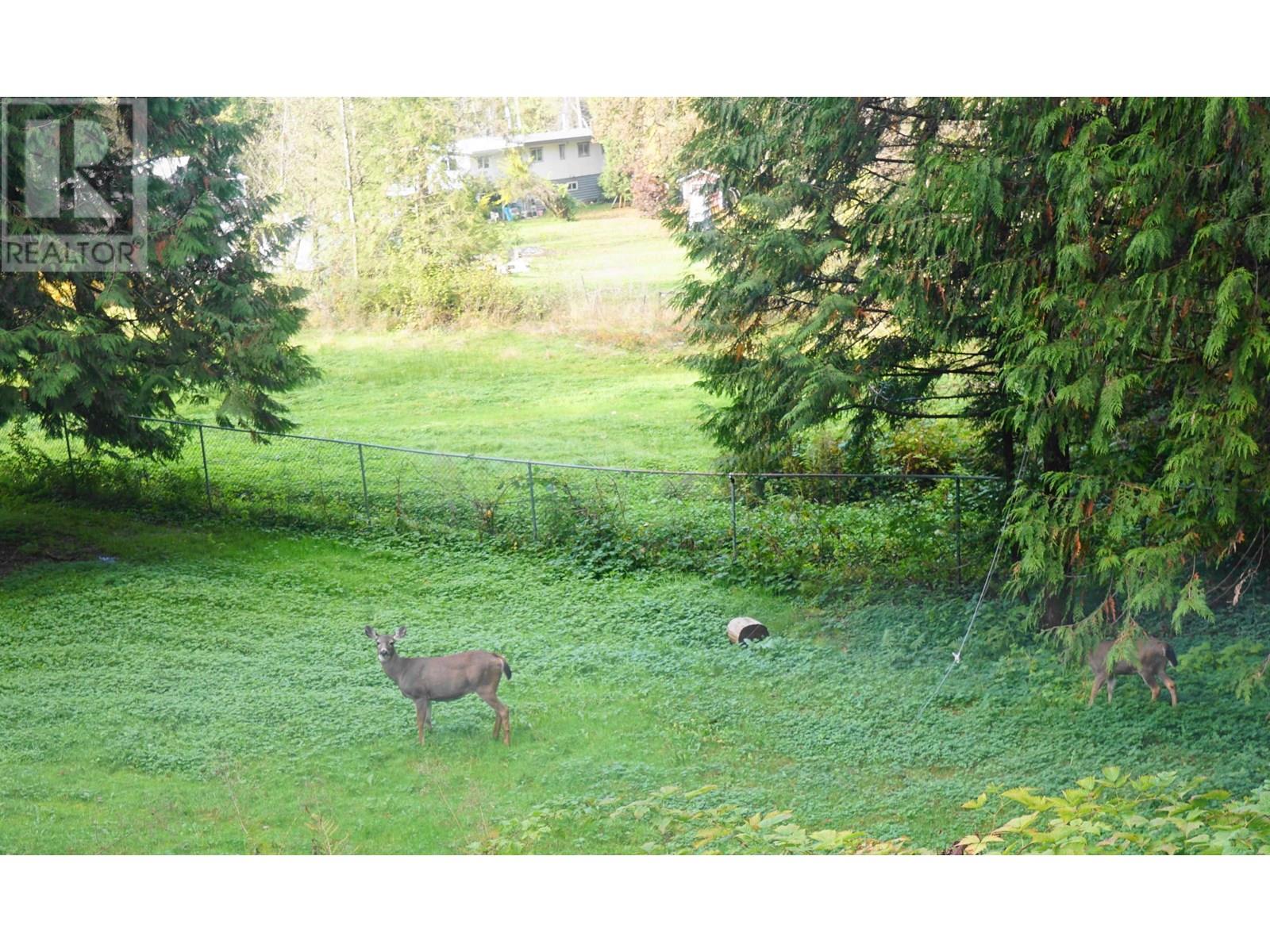 25855 112 Avenue, Maple Ridge, British Columbia  V2W 1H1 - Photo 22 - R3031217