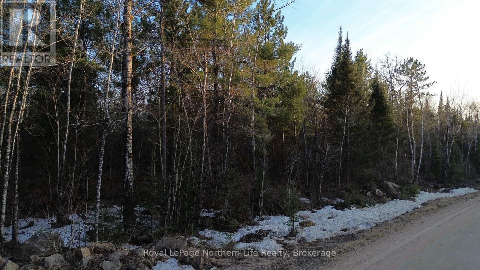 Pt Lt 30 Con 14, Papineau-Cameron, Ontario  P0H 1V0 - Photo 1 - X12311595