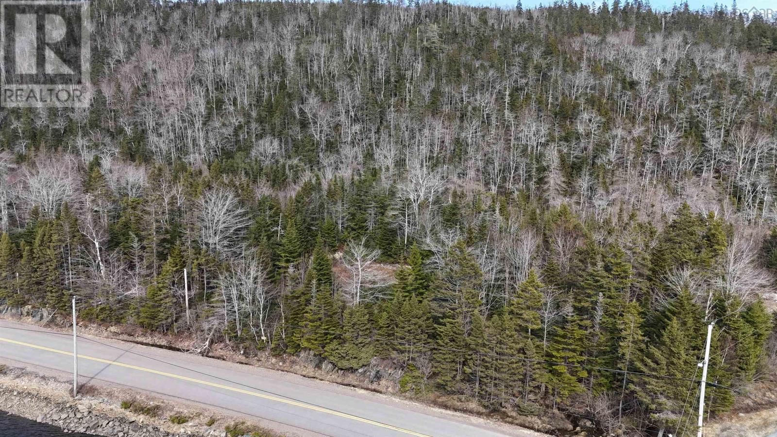 Sonora Road, Sonora, Nova Scotia  B0J 3C0 - Photo 15 - 202506038