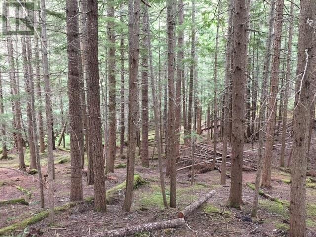 9024 Riverside Drive, Whistler, British Columbia  V8E 1M1 - Photo 20 - R3031352