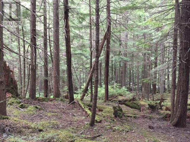 9024 Riverside Drive, Whistler, British Columbia  V8E 1M1 - Photo 22 - R3031352