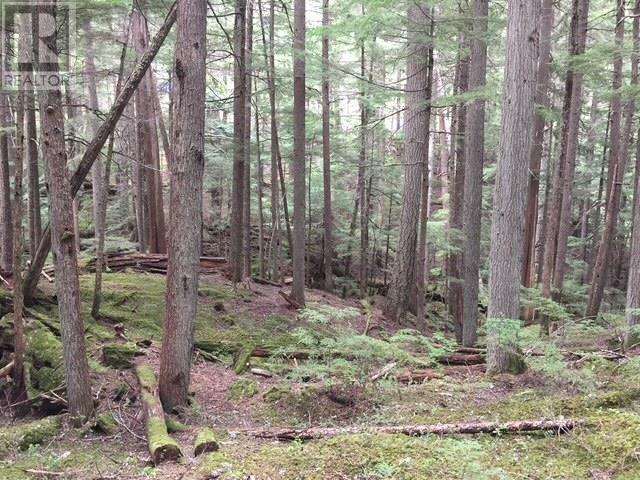 9024 Riverside Drive, Whistler, British Columbia  V8E 1M1 - Photo 23 - R3031352