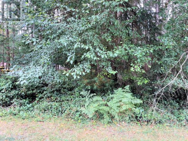 Lot 5 Leaper Road, Texada Island, British Columbia  V0N 1W0 - Photo 4 - 19180