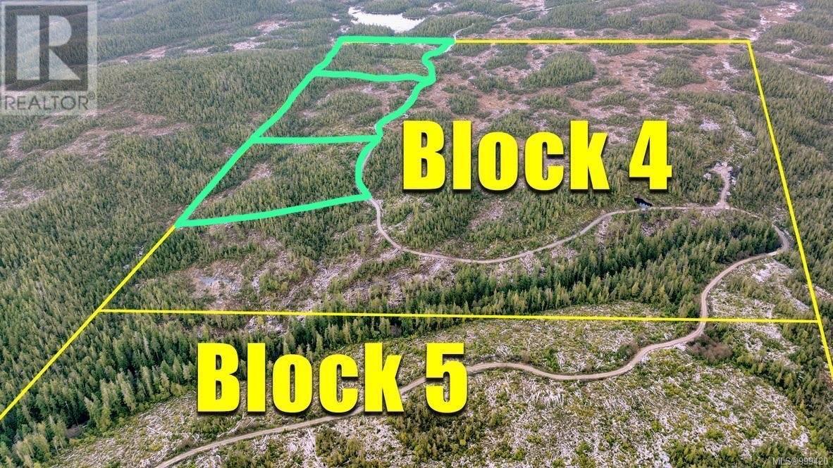 3 Cape Sutil Holberg (Off) Hwy, Port Hardy, British Columbia  V0N 2P0 - Photo 3 - 999420