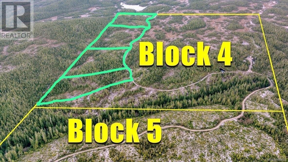 4 Cape Sutil Holberg (Off) Hwy, Port Hardy, British Columbia  V0N 2P0 - Photo 3 - 999452