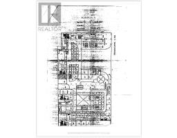 250 - 222 SPADINA AVENUE, Toronto, Ontario