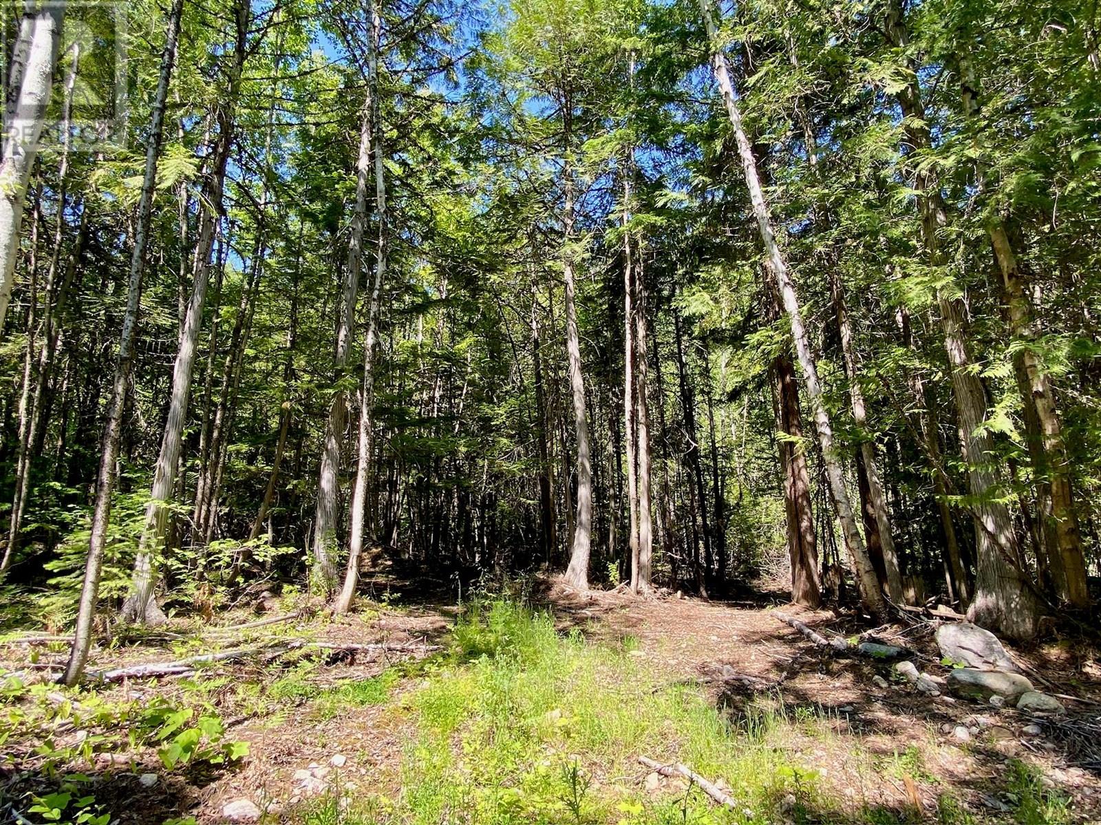 2921 Upper Slocan Park Road, Slocan Park, British Columbia  V0G 2E0 - Photo 20 - 10330396