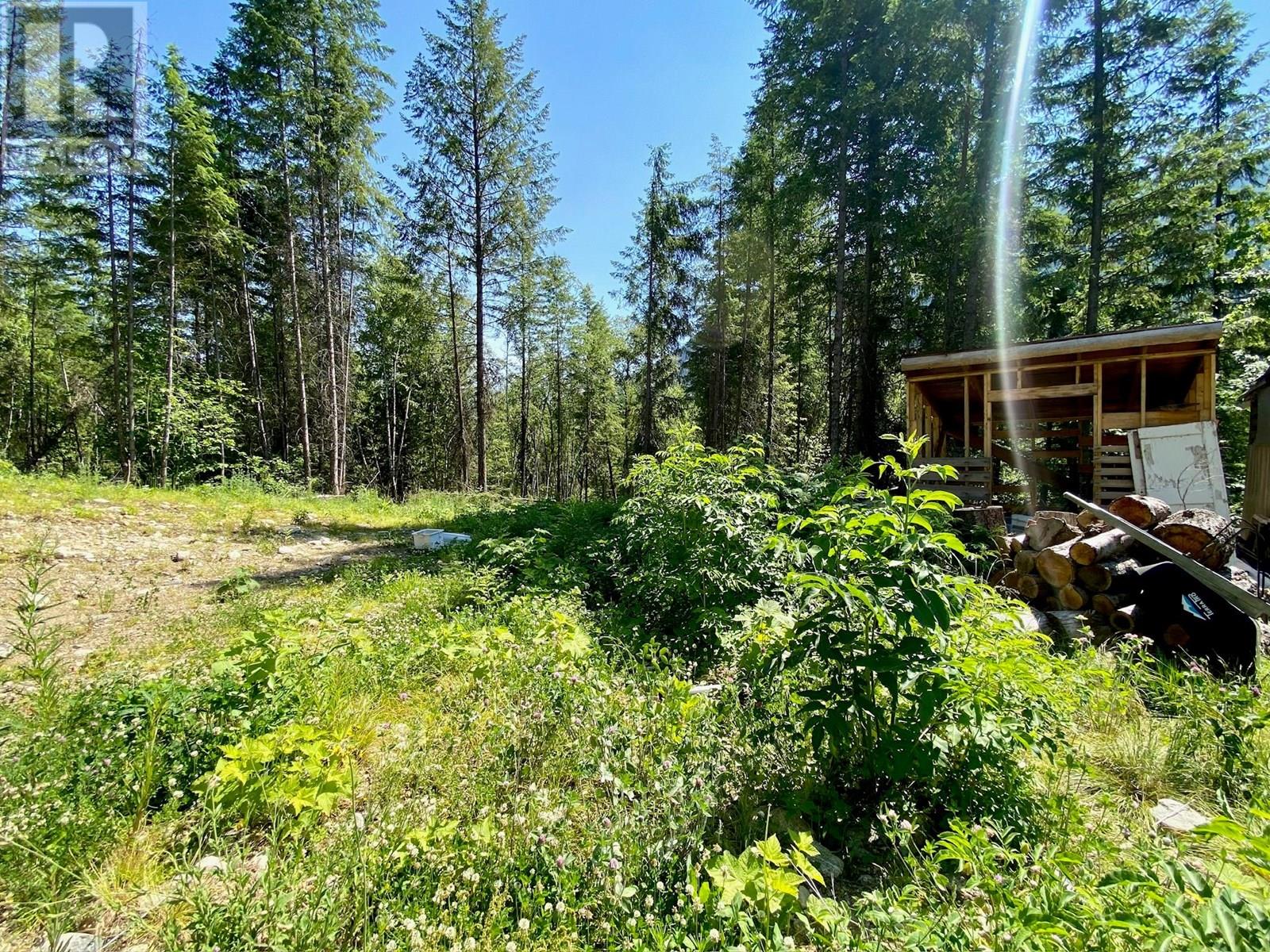 2921 Upper Slocan Park Road, Slocan Park, British Columbia  V0G 2E0 - Photo 10 - 10330396