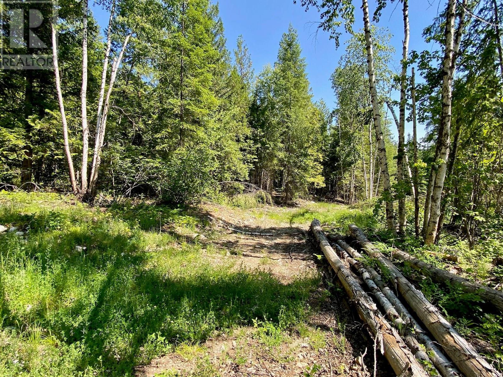 2921 Upper Slocan Park Road, Slocan Park, British Columbia  V0G 2E0 - Photo 18 - 10330396