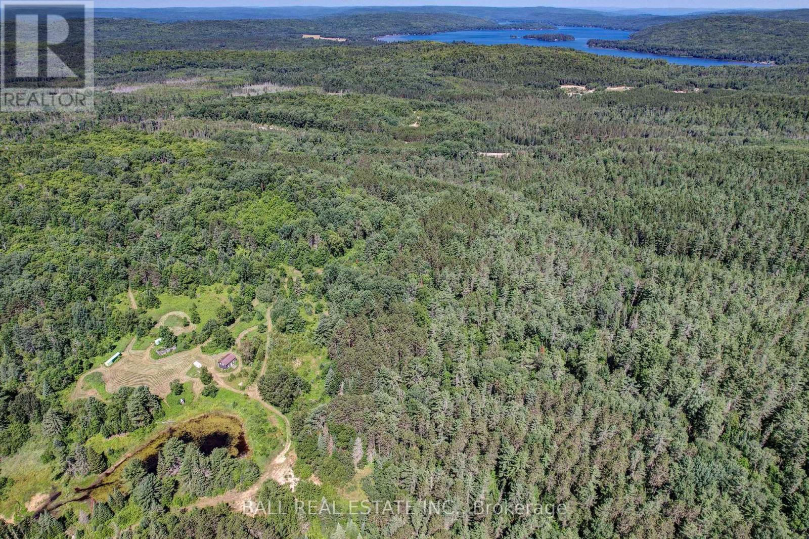 35956 Highway 62, Hastings Highlands (Bangor Ward), Ontario  K0L 2R0 - Photo 20 - X12311588