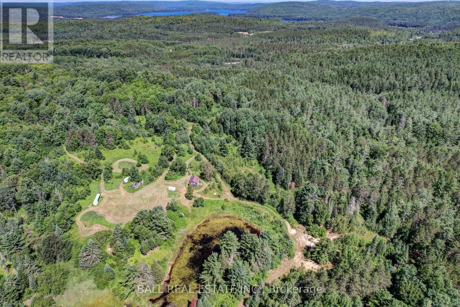 35956 Highway 62, Hastings Highlands (Bangor Ward), Ontario  K0L 2R0 - Photo 21 - X12311588