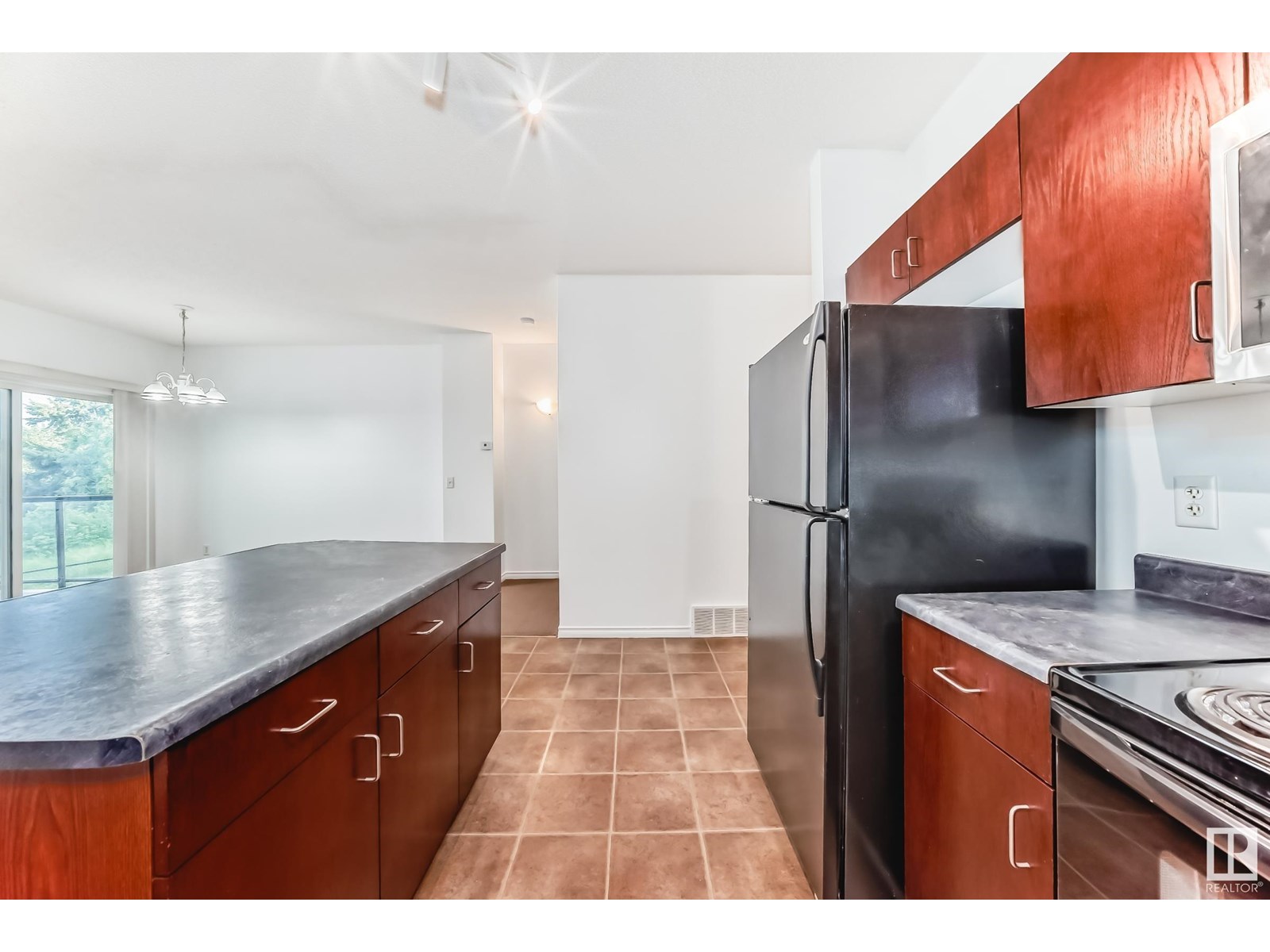 #102 3010 33 Av Nw Nw, Edmonton, Alberta  T6T 0C3 - Photo 13 - E4449594