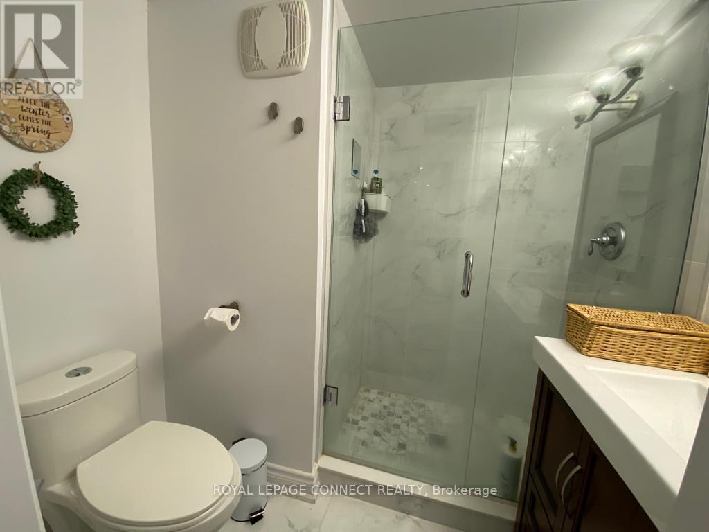 Lower - 43 Tomlin Crescent, Richmond Hill, Ontario  L4C 7T1 - Photo 4 - N12312097