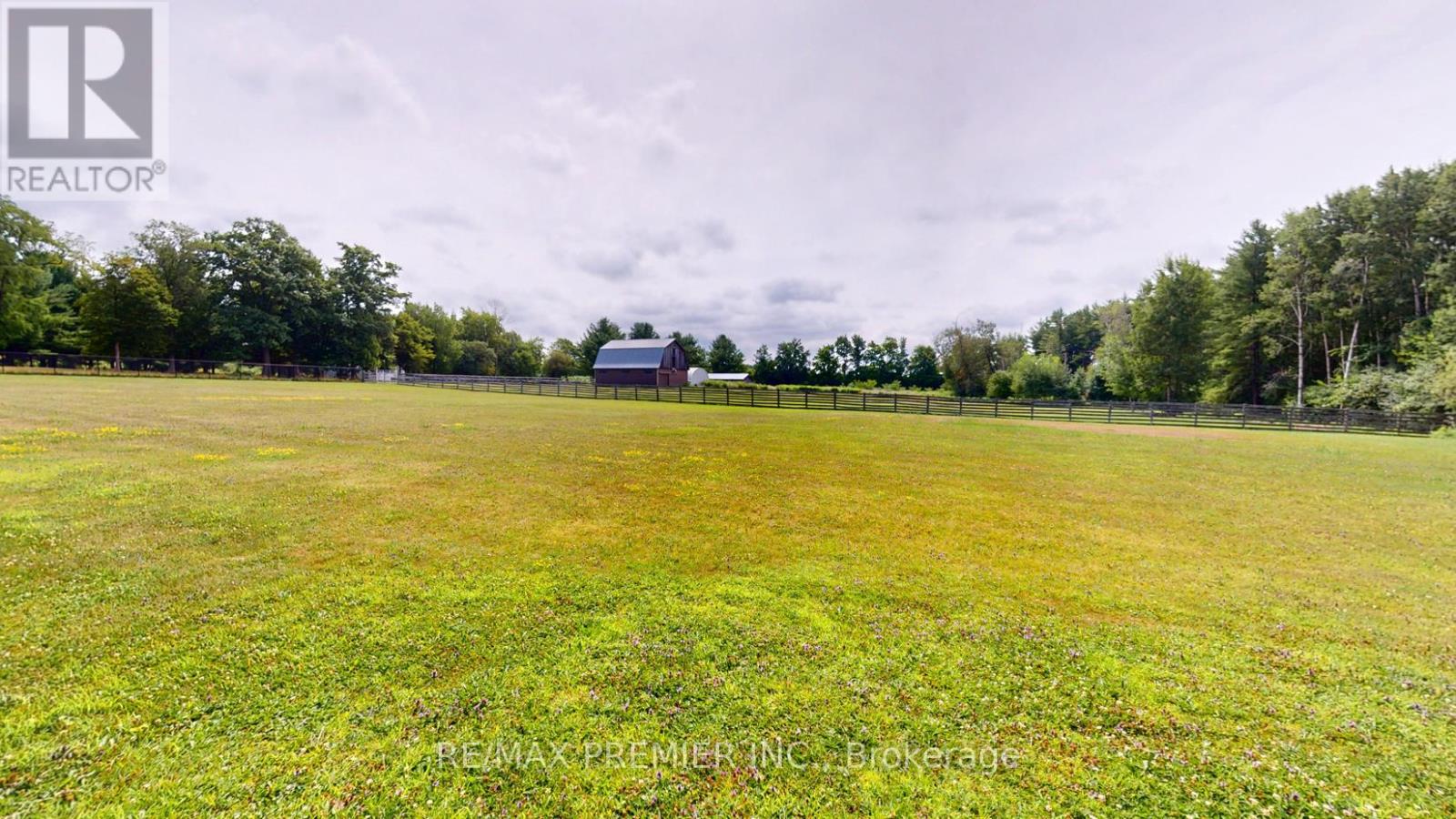 253 Morning Side Road, East Gwillimbury, Ontario  L9N 0K6 - Photo 12 - N12312110