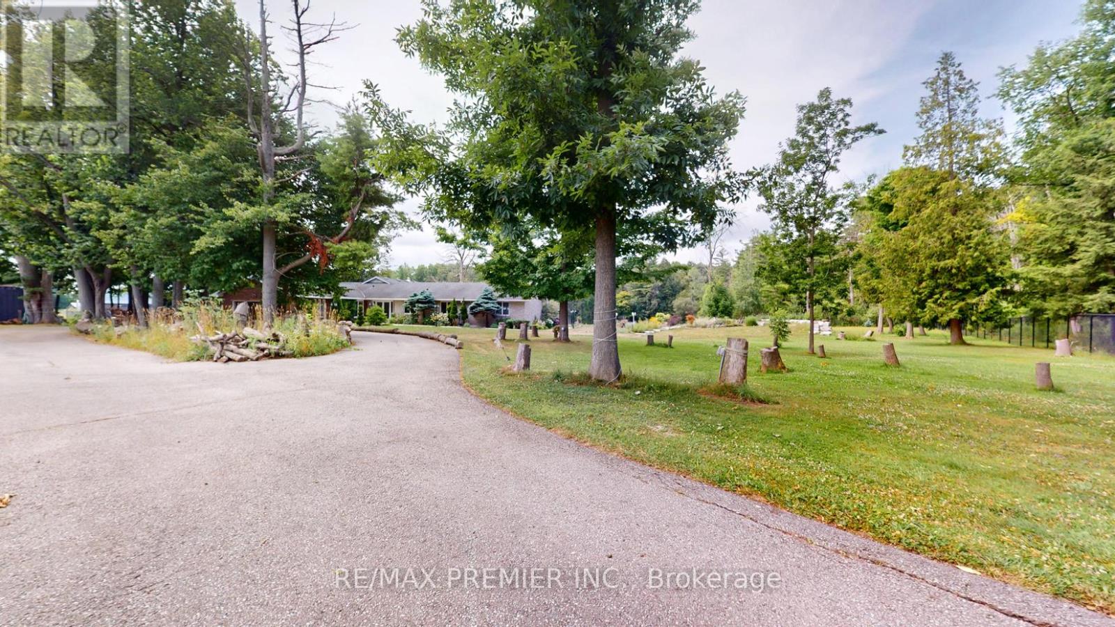 253 Morning Side Road, East Gwillimbury, Ontario  L9N 0K6 - Photo 9 - N12312110