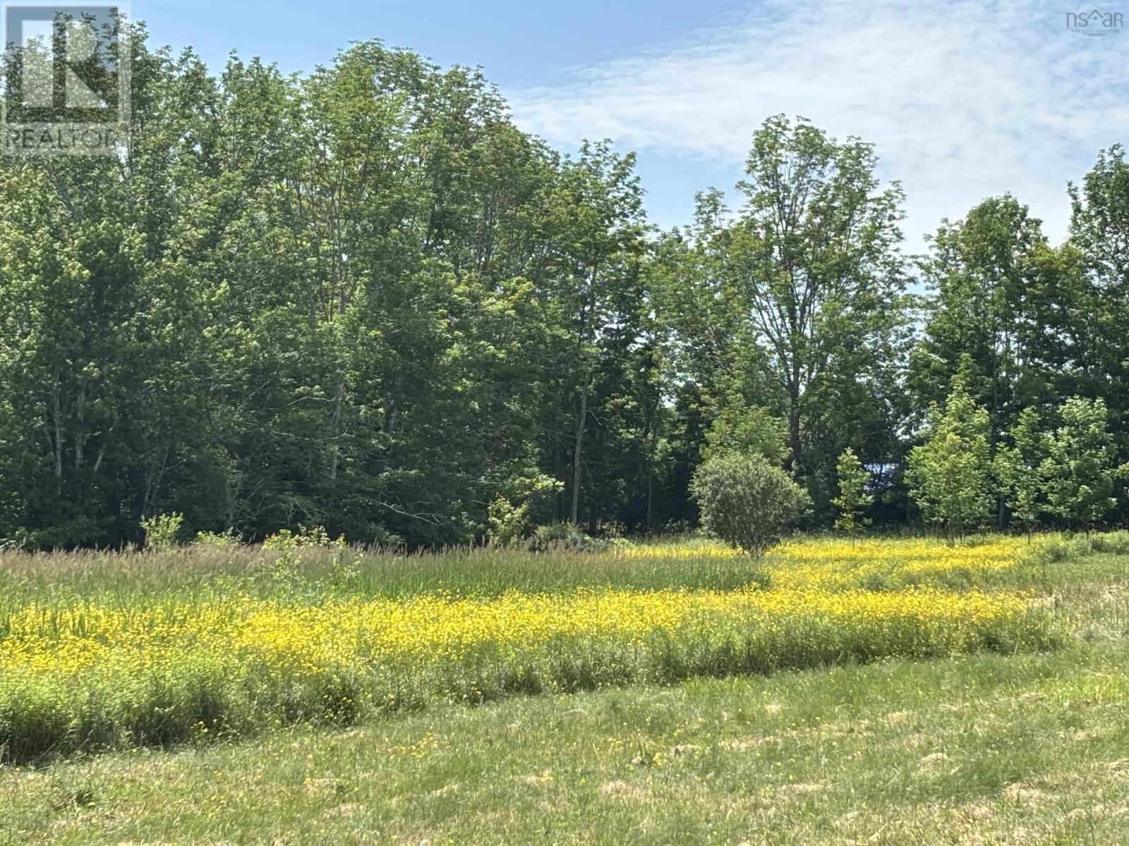 Lot 20-2b Highway 376, Lyons Brook, Nova Scotia  B0K 1H0 - Photo 5 - 202424577