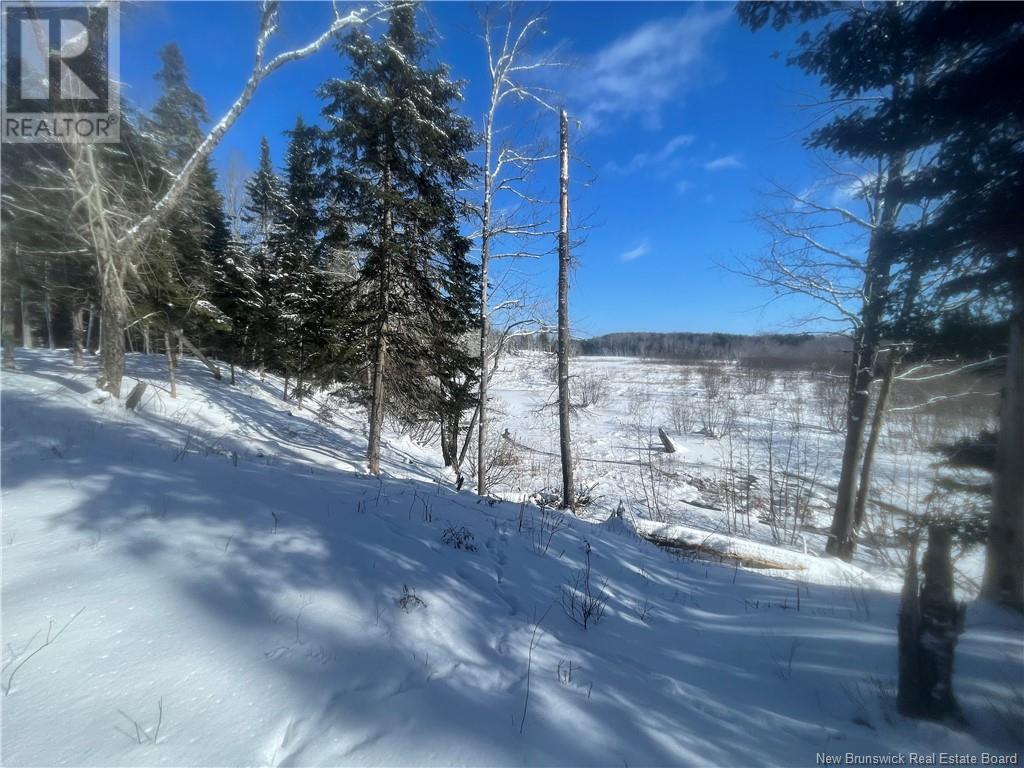 Lot 04-2 Route 690, Flowers Cove, New Brunswick  E4B 2E6 - Photo 38 - NB112803