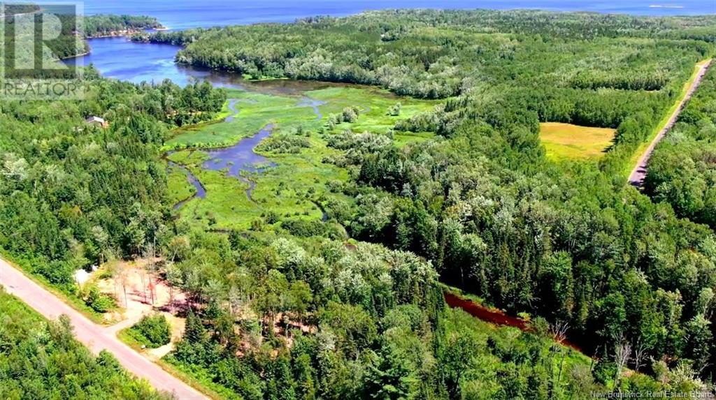 Lot 04-2 Route 690, Flowers Cove, New Brunswick  E4B 2E6 - Photo 5 - NB112803