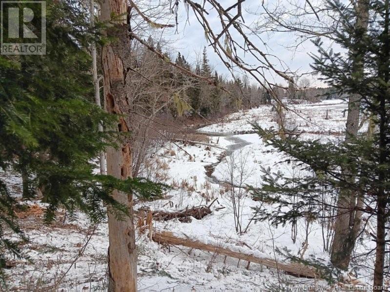 Lot 04-2 Route 690, Flowers Cove, New Brunswick  E4B 2E6 - Photo 40 - NB112803