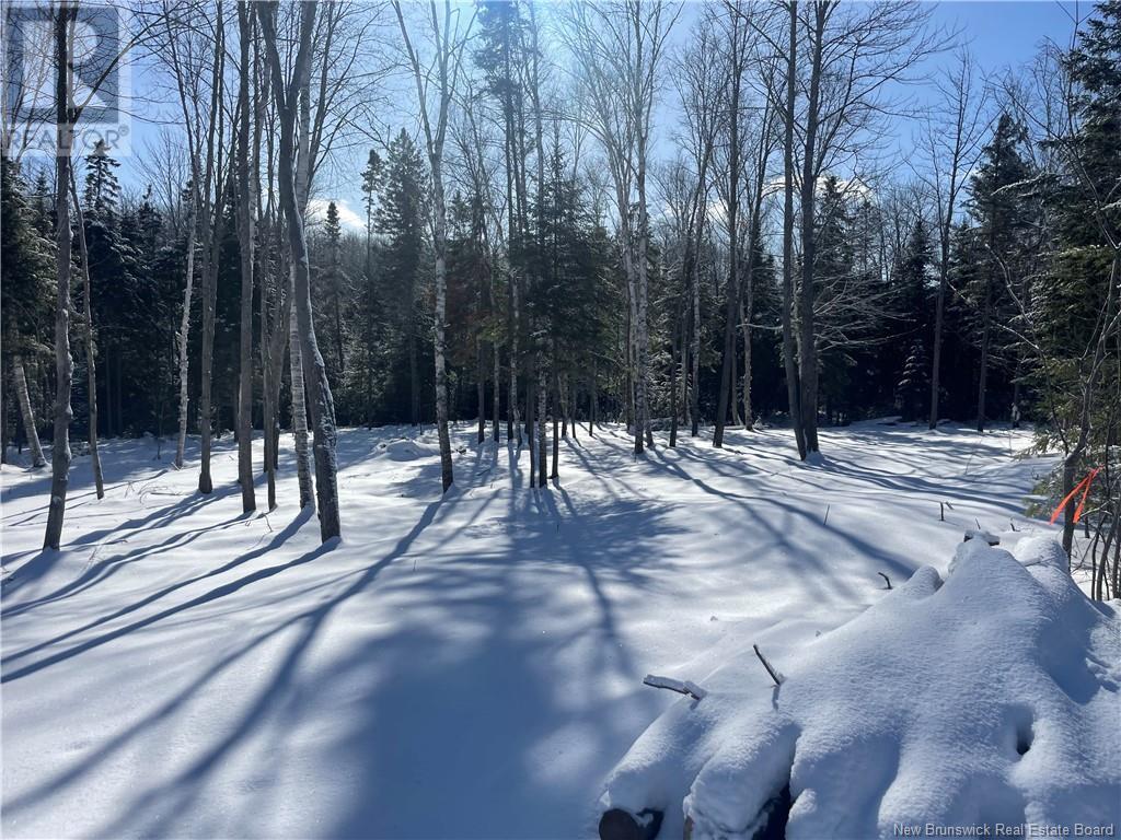 Lot 04-2 Route 690, Flowers Cove, New Brunswick  E4B 2E6 - Photo 35 - NB112803