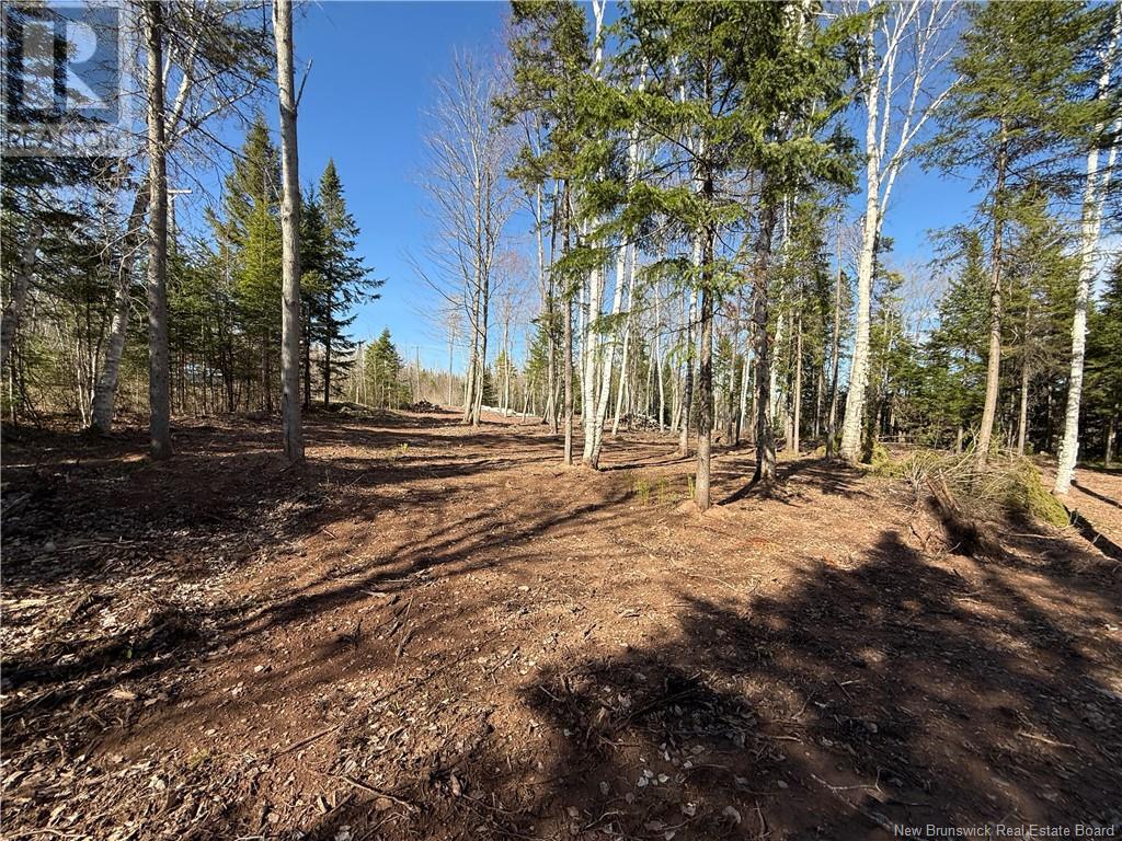 Lot 04-2 Route 690, Flowers Cove, New Brunswick  E4B 2E6 - Photo 24 - NB112803