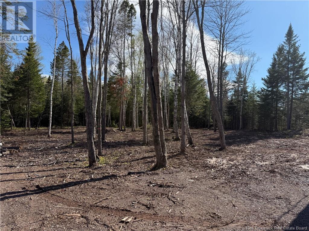 Lot 04-2 Route 690, Flowers Cove, New Brunswick  E4B 2E6 - Photo 18 - NB112803