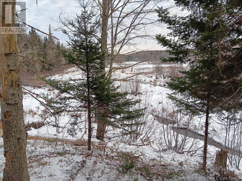Lot 04-2 Route 690, Flowers Cove, New Brunswick  E4B 2E6 - Photo 39 - NB112803