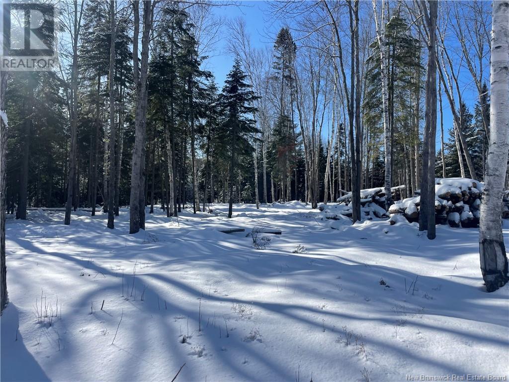 Lot 04-2 Route 690, Flowers Cove, New Brunswick  E4B 2E6 - Photo 36 - NB112803