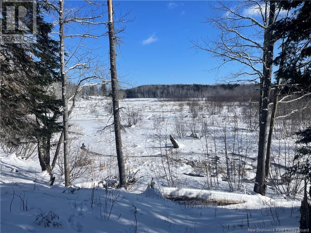 Lot 04-2 Route 690, Flowers Cove, New Brunswick  E4B 2E6 - Photo 37 - NB112803