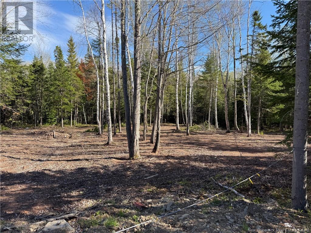 Lot 04-2 Route 690, Flowers Cove, New Brunswick  E4B 2E6 - Photo 16 - NB112803