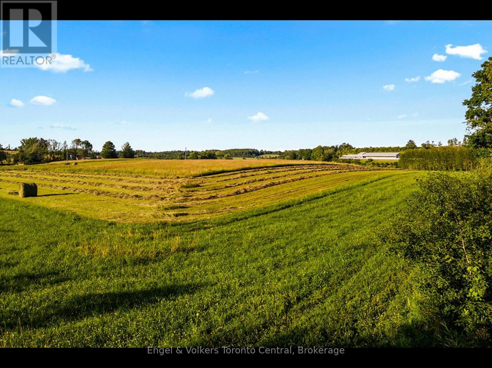 137079 Grey Rd 12 Road, Meaford, Ontario  N4L 1W6 - Photo 6 - X12244445