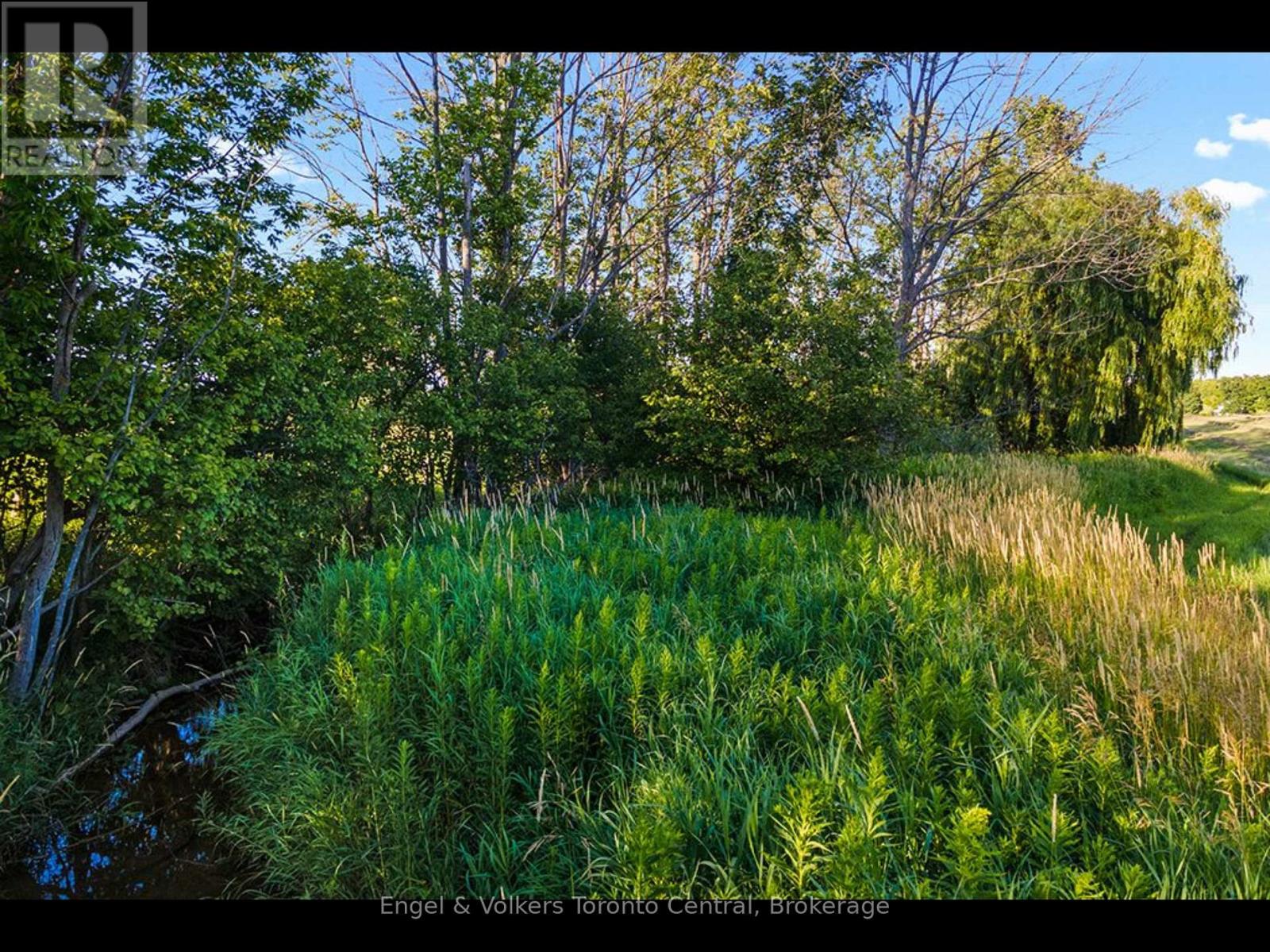 137079 Grey Road 12 Road, Meaford, Ontario  N4L 1W6 - Photo 5 - X12246893