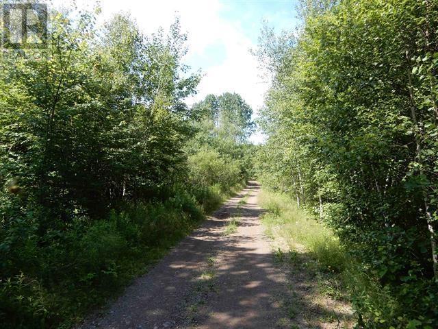 80 Acres Scotsburn Road, West Branch, Nova Scotia  B0K 1R0 - Photo 7 - 202501542