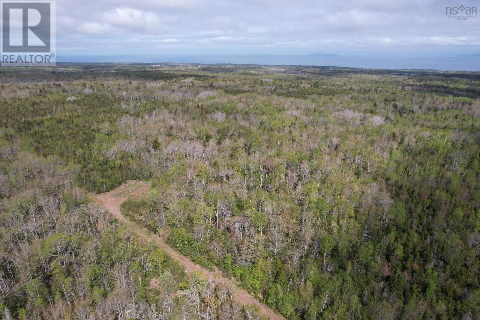 Lot Gould Road, Burlington, Nova Scotia  B0P 1E0 - Photo 3 - 202511780