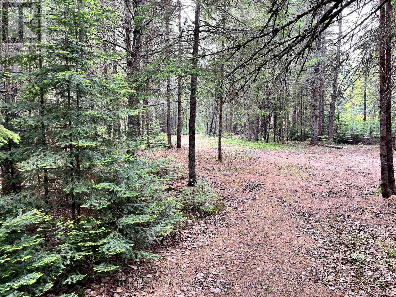 0 Redford Drive, Addington Highlands, Ontario  K0H 1L0 - Photo 11 - X12205836